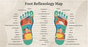 what can a reflexologist tell from my feet at olive beauty and aesthetics in milton keynes